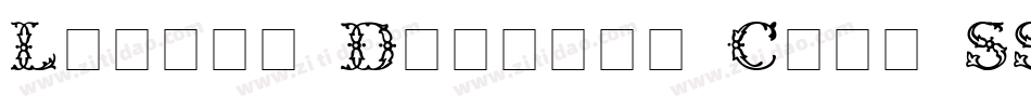 Leakin Display Caps SSi字体转换